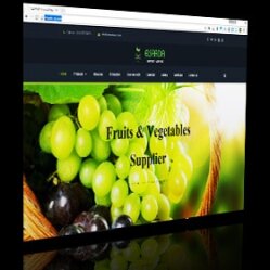 تصميم موقع  شركة السعادة لتصدير الفواكه والخضروات